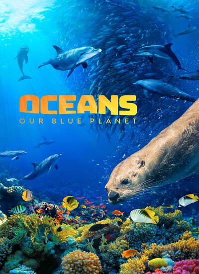دانلود مستند اقیانوس سیاره آبی ما 2018 دوبله فارسی Oceans Our Blue Planet