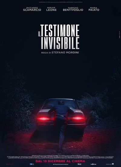 The Invisible Witness 2018