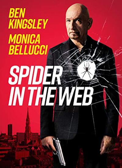 Spider in the Web 2019