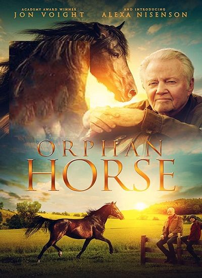 Orphan Horse 2018 