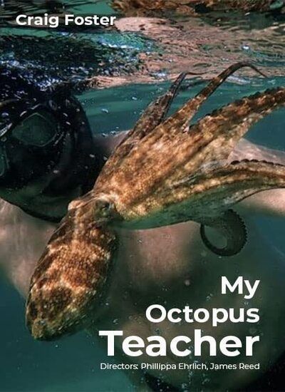 My Octopus Teacher 2020 