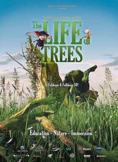 The Life of Trees 2012