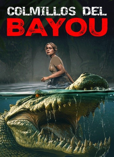 The Bayou