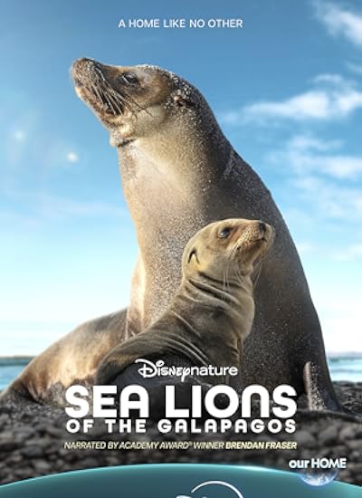 Sea Lions of the Galapagos